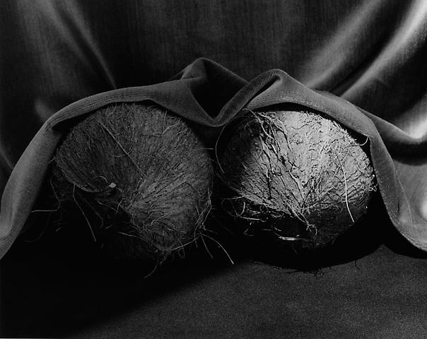 <i>Coconuts</i>, 1985