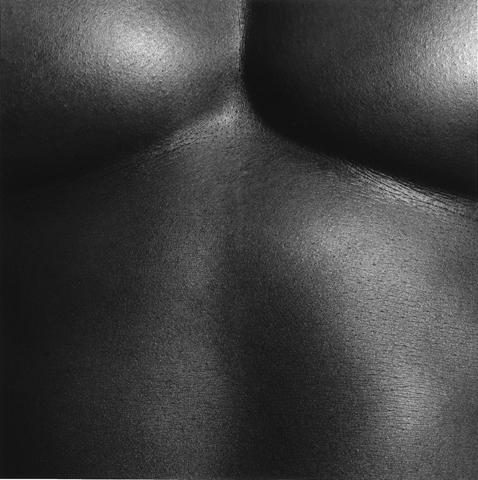 <i>Chest / Livingston</i>, 1988