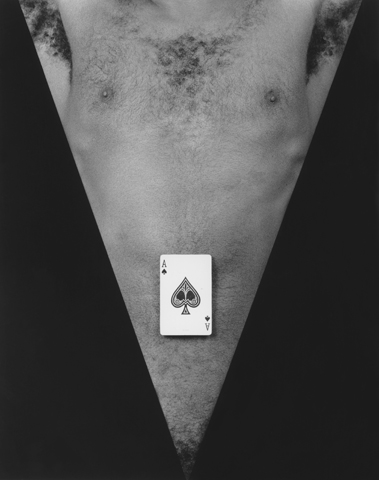 <i>Jack Walls</i>, 1983