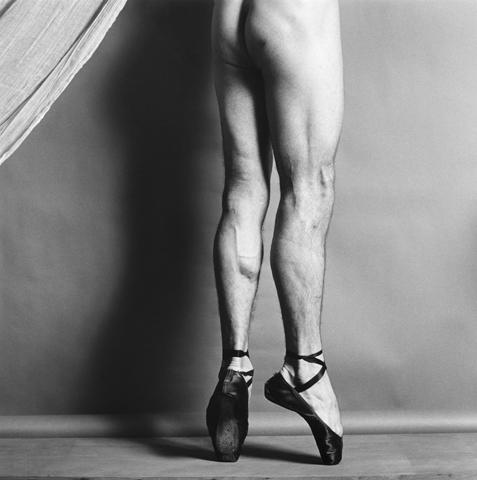 <i>Phillip</i>, 1979