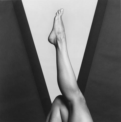 <i>Lisa Lyon</i>, 1981