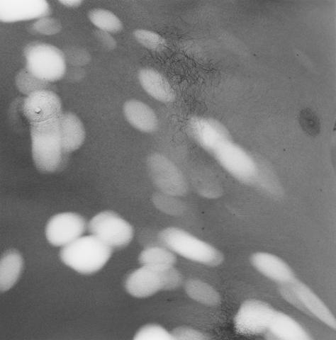 <i>Chest</i>, 1983