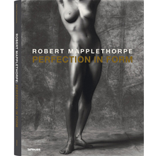 Perfection in Form Robert Mapplethorpe