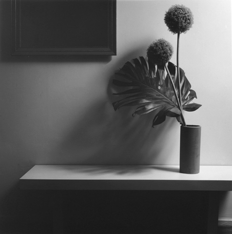 <i>Flower</i>, 1980