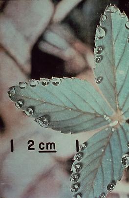 <b>Once Upon a Time</b>, 2002 Image