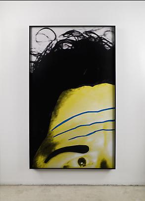 <b>Raised Eyebrows/ Furrowed Foreheads: (Black Eyebrow and Wild Hair)</b>, 2008 Image