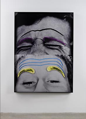 <b>Raised Eyebrows/ Furrowed Foreheads: (with Pain and Insouciance)</b>, 2008 Image