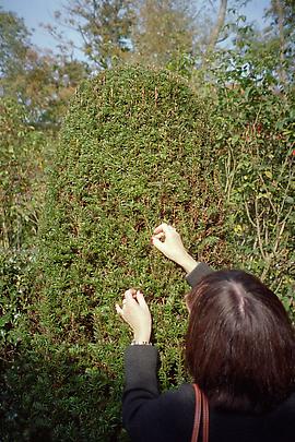 <b>Jeanette in Wirtz' Garden</b>, 2009 Image