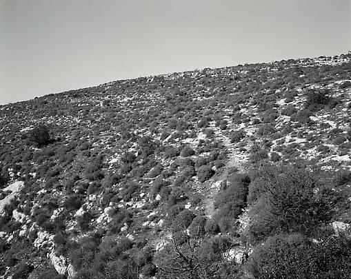 <i>Hillside in Sicily, November 2007</i>, 2008 Image