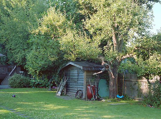 <i>Boy Falls from Tree</i>, 2010 Image