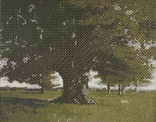 Courbet's Oak Tree, 2011 Image
