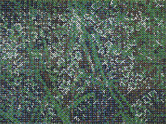 Green Web Drops, 2011 Image