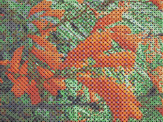 Fluttering Flowers, 2011 Image