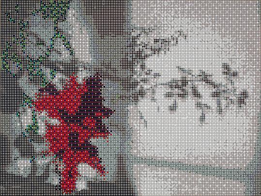 Red Flower Shadow, 2011 Image
