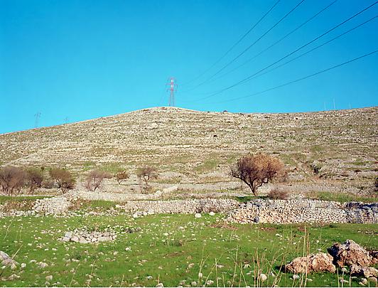 <i>Hillside near Ragusa</i>, 2007 Image
