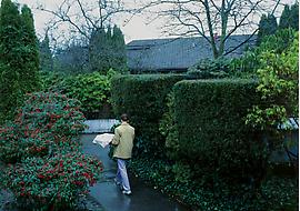 Jeff Wall