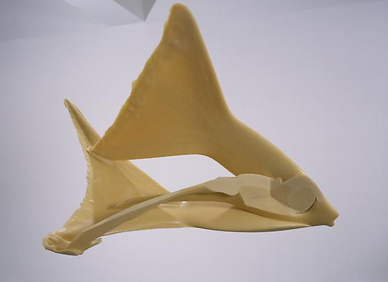 <b>Spine</b>, 2003 Image