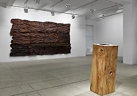 Giuseppe Penone