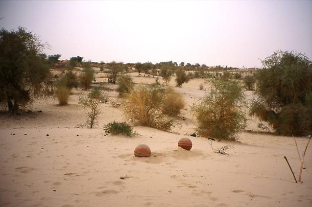 <b>Cemetery 5</b>, 2002 Image