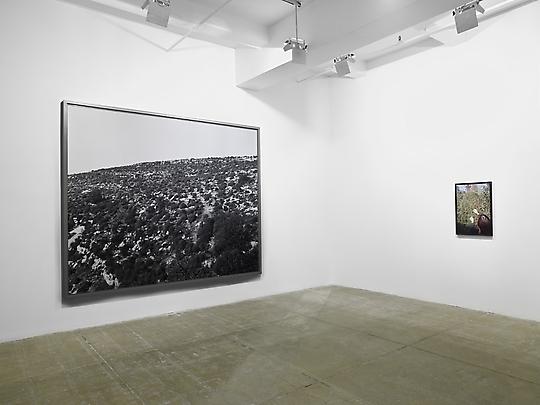 Installation View North Gallery Viewing Room Image