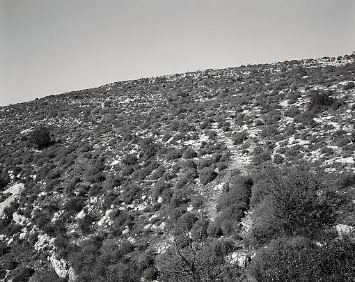 <b>Hillside in Sicily</b>, 2008 Image