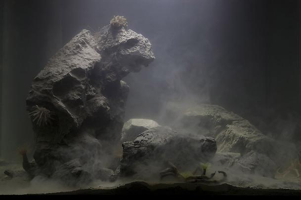 <b>Aquarium</b>, 2010 Image
