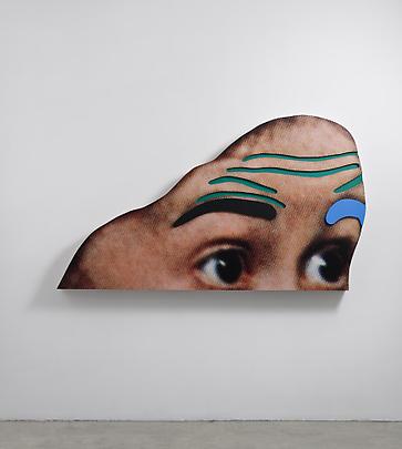 <b>Raised Eyebrows/ Furrowed Foreheads: (Black and Blue Eyebrows)</b>, 2008 Image