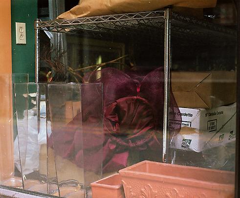 <b>Florist's shop window, Vancouver</b>, 2008 Image