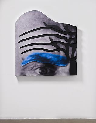<b>Raised Eyebrows/ Furrowed Foreheads: (Blue Eyebrows and Grey Skin)</b>, 2008 Image