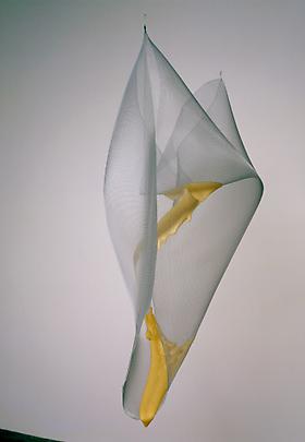 <b>Drop on Mesh</b>, 2003 Image