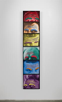 <b>Raised Eyebrows/ Furrowed Foreheads: (Red, Orange, Yellow, Green, Blue, and Violet Eyebrows)</b>, 2008 Image