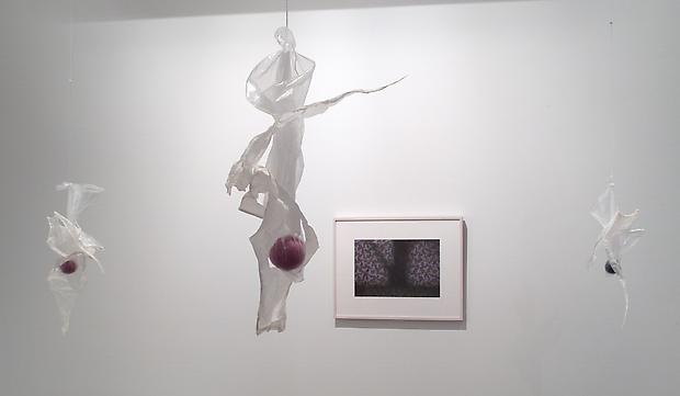 Installation view North Viewing Room: 

<b>Mixiote</b>, 2001

On the wall: <b>Tree Through Leaves</b>, 2001 Image