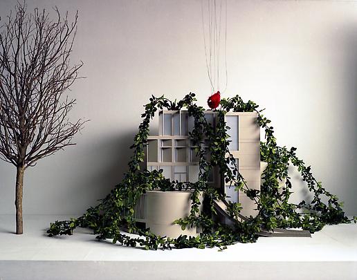 <b>This is Not a Time for Dreaming</b>, 2004 Image
