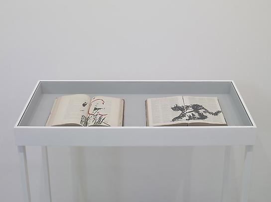 <b>L’Exploration du Sahara (World on its Hind Legs)</b>, 2010
And 
<b>Graecum Lexicon Manuale (Cat)</b>, 2010 Image