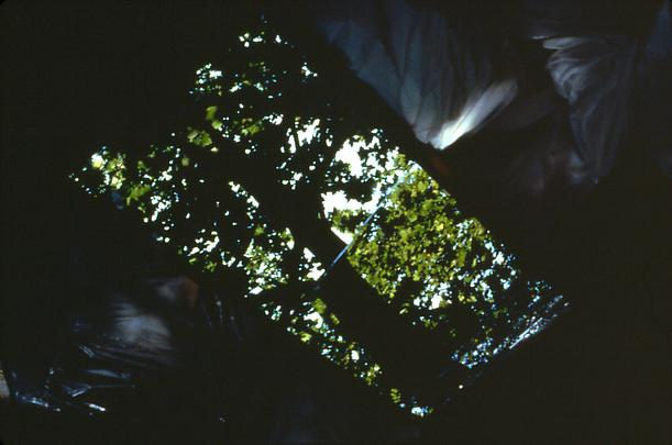 GABRIEL OROZCO
<b>Shadow of Reflection (La sombra del reflecto)</b>, 1990 Image