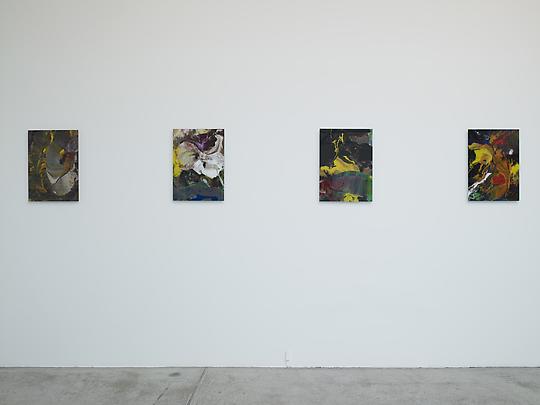 Installation view Image