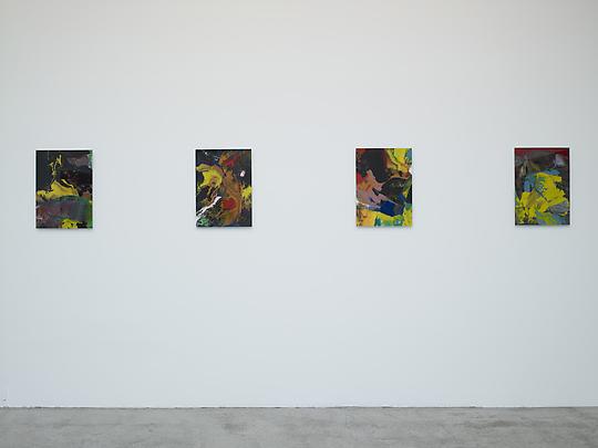 Installation view Image