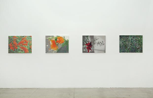 Installation view Image