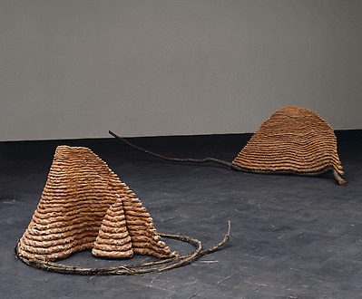Giuseppe Penone at Kunstmuseum Winterthur