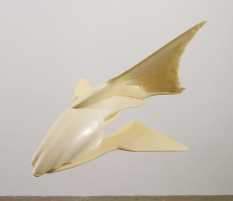 <b>Delta Tail</b>, 2003 Image