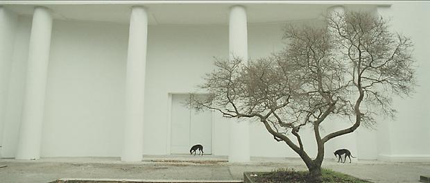 <b>Giardini</b>, 2009 Image