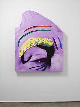 <b>Raised Eyebrows/ Furrowed Foreheads: (Yellow Eyebrow and Violet Skin)</b>, 2008 Image