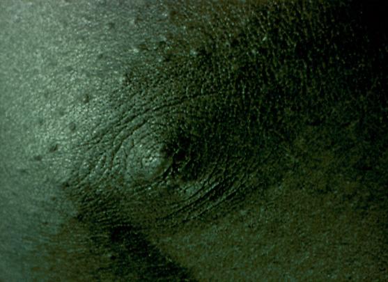 <b>Cold Breath</b>, 1999 Image