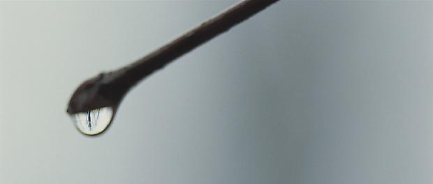 <b>Giardini</b>, 2009 Image
