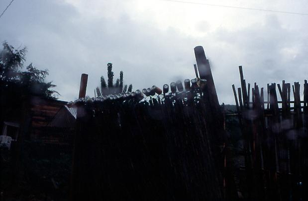 GABRIEL OROZCO
<b>Barda de Latas</b>, 1998 Image