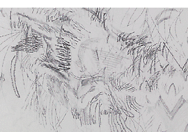 Julie Mehretu