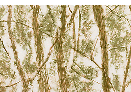 Giuseppe Penone