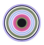 <i>No. 174   ZWEIUNDZWANZIGSTERFEBRUARZWEITAUSENDNULL</i>
2000
acrylic on canvas
106 1/4 inches (diameter)