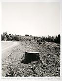 Robert Adams
