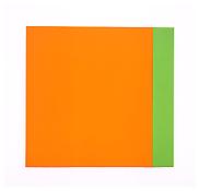 <i>Orange Green</i>
2002
Oil on canvas; two joined panels
65 3/4 x 69 1/2 inches; 167 x 177 cm